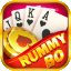 rummy 335