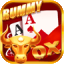 rummy 91 777 icon